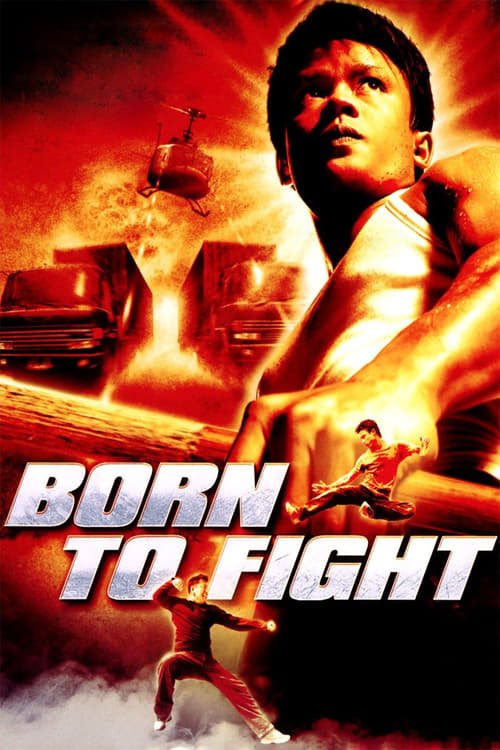 Born to Fight - VJ Jingo